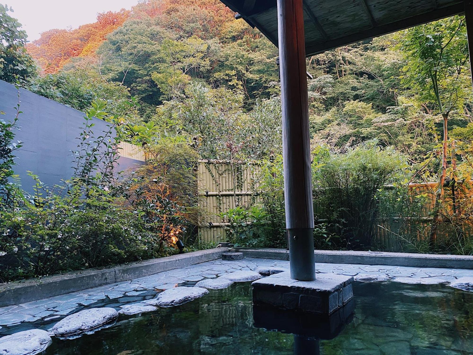 Onsen Guest House Tsutaya Hakone Exterior photo